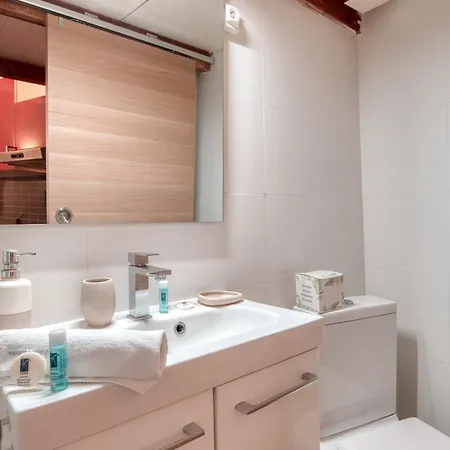 Tres Beau Idealement Situe Centre Apartmán